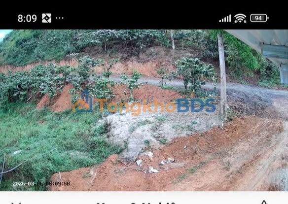 Bán Đất Nền 8000m² Đam Rông - Sổ Trích Lục, Giá 900 Triệu