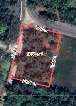 Đất cho thuê Giao Long 1.058m² 5 triệu - Đường to ô tô