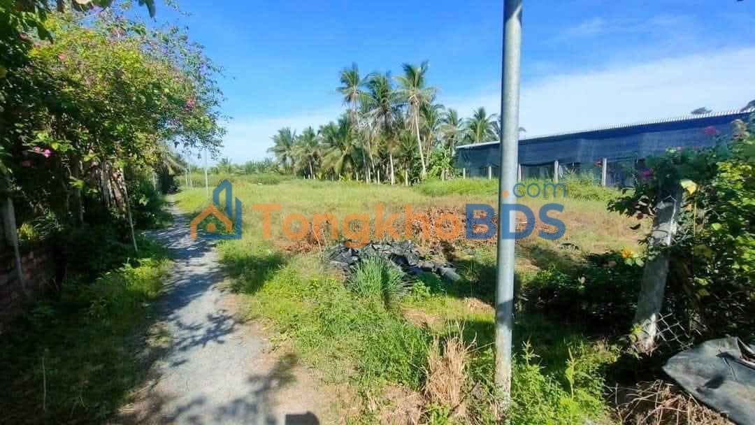 Đất nền Hoa Lâm Giồng Trôm 102m² 550tr - Sổ đỏ chính chủ