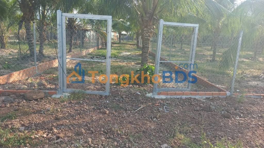 Đất nền Phước Hội 198m² 1.35 tỷ - Sổ đỏ chính chủ ven biển