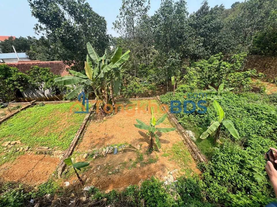 Đất nền Tiên Phương, Chương Mỹ: 45m², ô tô vào cửa, 1.x tỷ