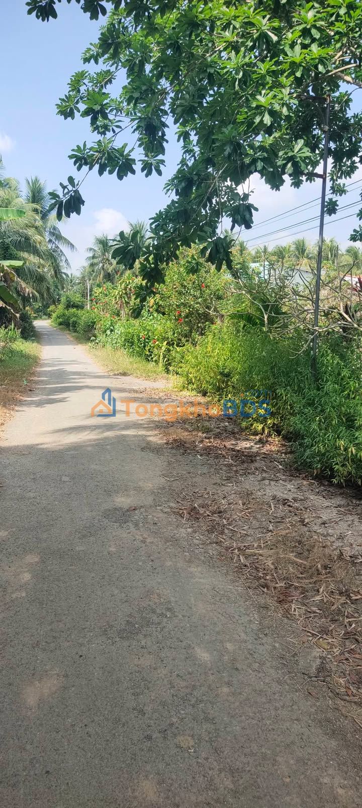 Bán đất Trà Cú, Trà Vinh 5000m² - Sổ đỏ sẵn sàng, ô tô tới nơi