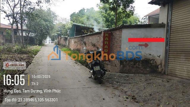 Đất Tam Dương Vĩnh Phúc 1.100m² 7.7 tỷ - Sổ đỏ chính chủ