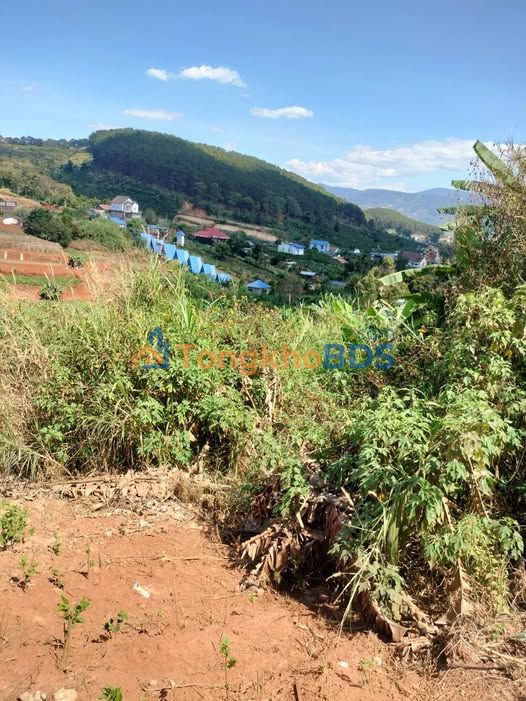 Đất nền Nam Ban Lâm Hà 900m² 1.7 tỷ - Sổ đỏ chính chủ