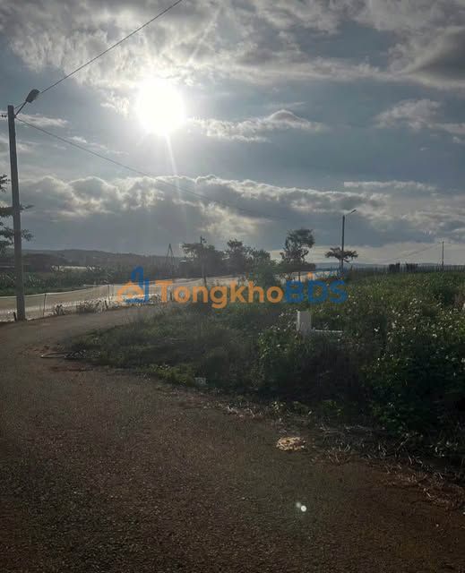 Đất Lê Hồng Phong Đà Lạt 114m² 1,25 tỷ - Sổ đỏ chính chủ