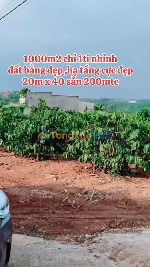 Đất nền Nam Hà Lâm Đồng 1.000m² giá 1,4 tỷ - Giá F0