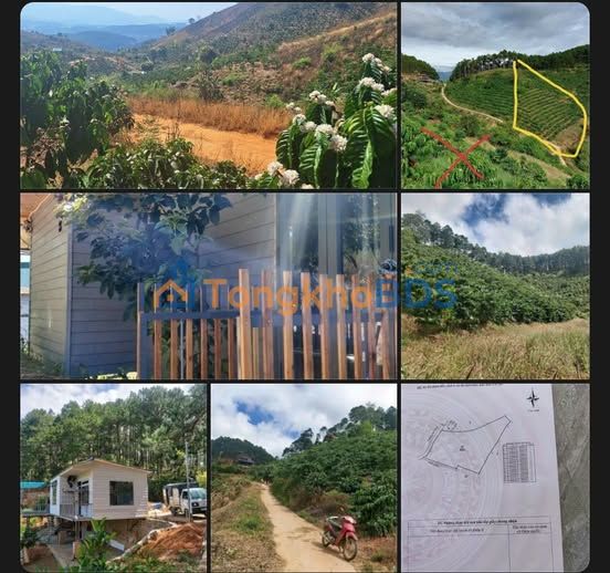 Đất Tràm Hành 3.865m² Mê Linh Đà Lạt - Sổ đỏ đồi thông view chill