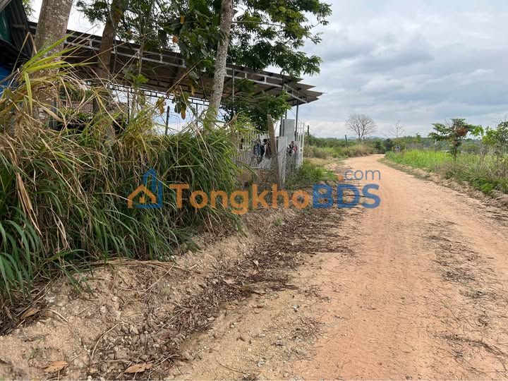 Bán Đất Mặt Đường Ea Knốp, Đắk Lắk - 480m² Giá 210 Triệu