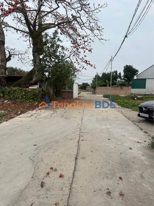 Đất nền Ninh Dương Móng Cái 111m² 1.004 tỷ - Xây tự do