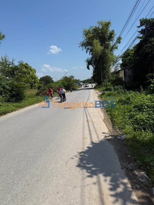 Đất nền Trần Quang Khải 220m² giá 2 tỷ - Tiềm năng tăng giá