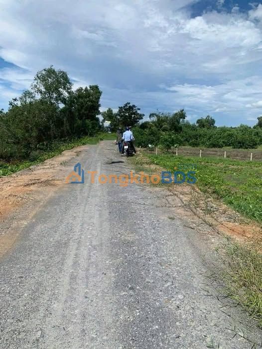 Đất vườn Thạnh Hòa Bến Lức 4000m² 5.8 tỷ - Sổ đỏ chính chủ