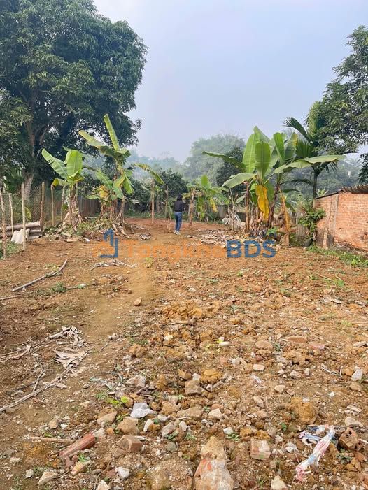 Đất nền Trần Phú Lục Yên 451m² 3 tỷ - Đường to ô tô