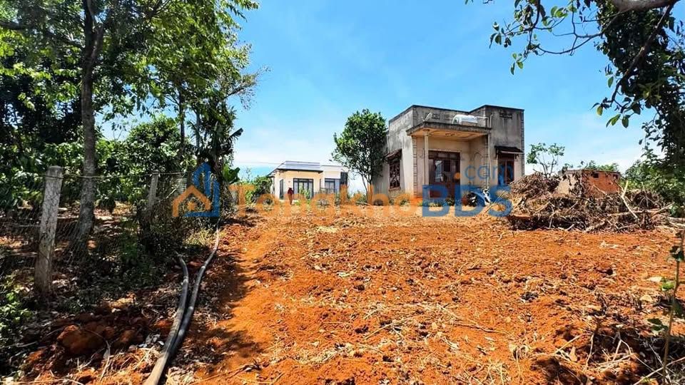 Đất vườn Đông Thanh 2.771m²/4.6 tỷ - Nghỉ dưỡng lý tưởng