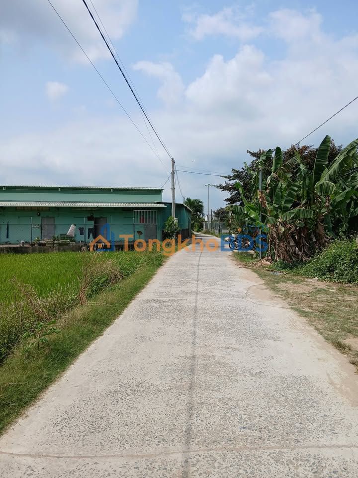 Đất thổ cư Ấp 3 Nhị Thành Thủ Thừa 128m² 950 triệu - Sổ đỏ chính chủ