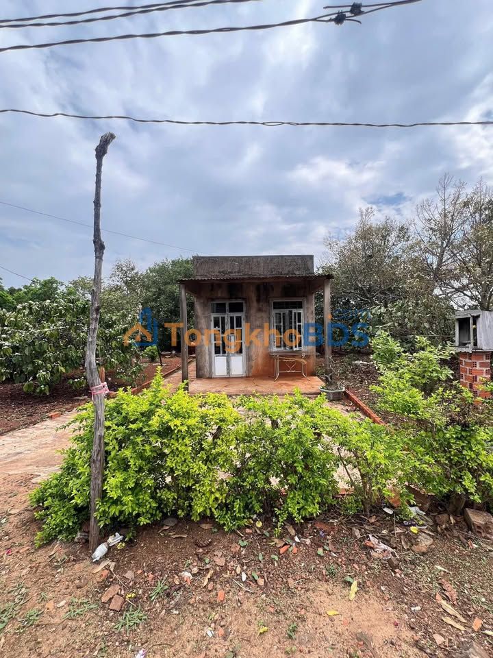 Đất nền Ia Blang Chư Sê 174m² 450 triệu - Tiềm năng tăng giá