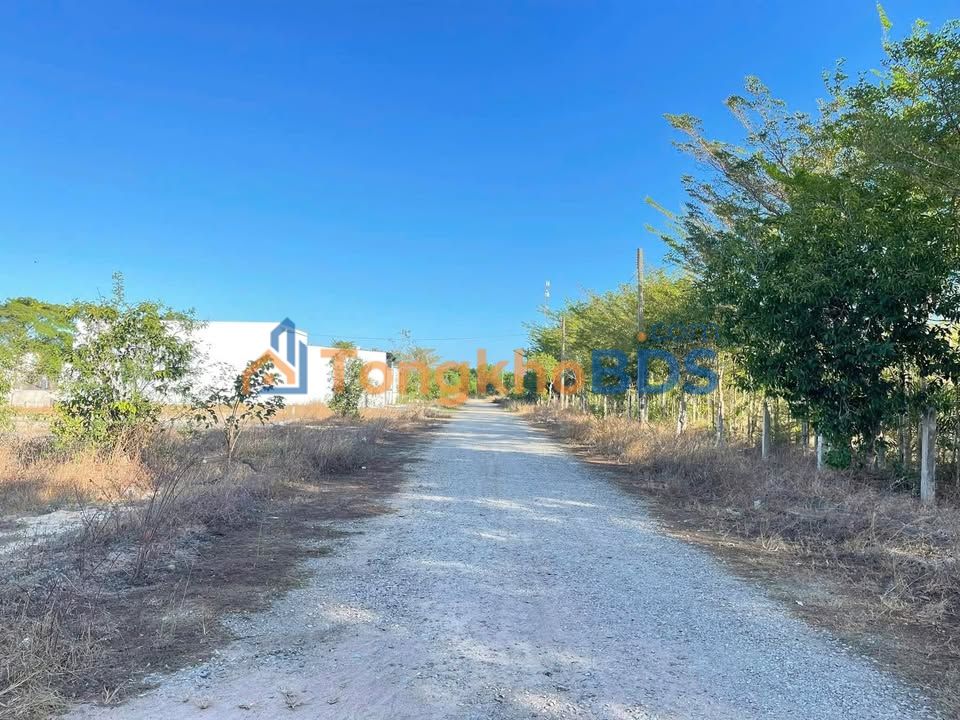 Đất nền Lagi Hàm Tân 150m² giá 1.35 tỷ - Đất thổ cư 100%