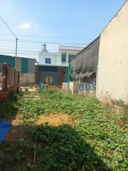 Đất nền Võ Nguyên Giáp Biên Hòa 170m² 1.2 tỷ Sổ đỏ chính chủ