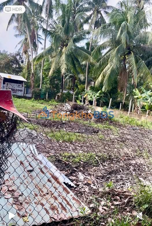 Đất Tam Quan Hoài Nhơn 313m² 800-899tr - Đất thổ cư 100%