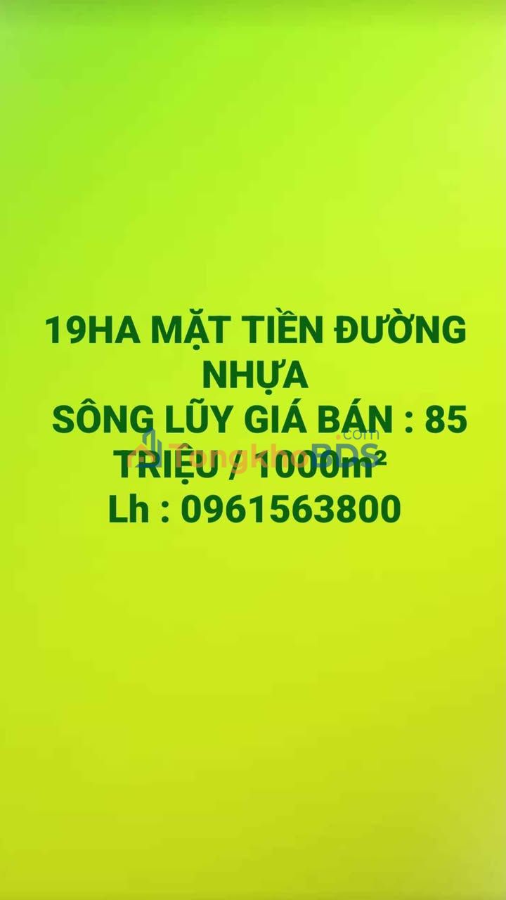 Đất nền Sông Lũy Hàm Thuận Bắc 19ha 16.15 tỷ - Sổ đỏ chính chủ