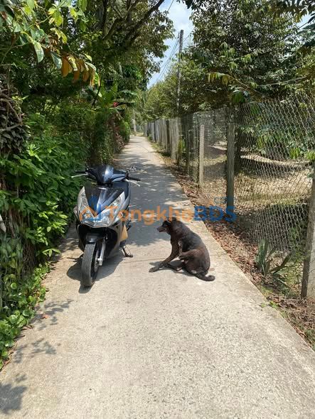 Đất vườn Tân Phú Châu Thành 1000m² 650tr - Sổ đỏ chính chủ