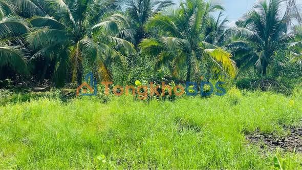 Đất nền Mỹ Thạnh 1.337m² 2.35 tỷ - Pháp lý rõ ràng