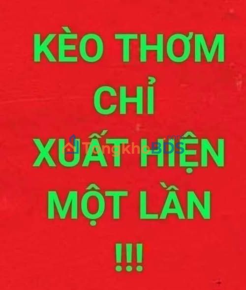 Đất nền An Hội Vĩnh Long 105m² 700 triệu - Hạ tầng hoàn thiện