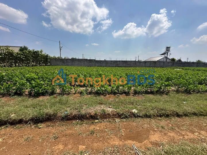 Đất Phường 2 Bảo Lộc 238m² giá 1.2 tỷ - Xây dựng tự do