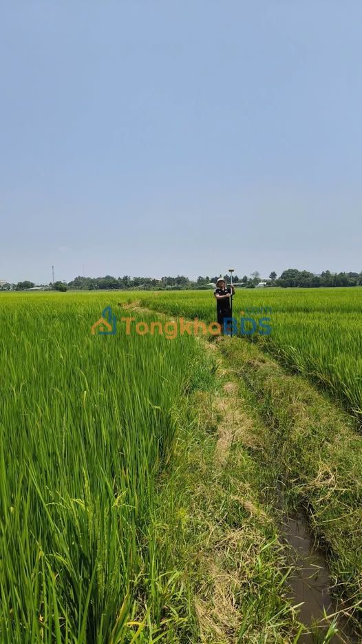 Đất Củ Chi Tân An Hội 950m² 700 triệu - Pháp lý rõ ràng