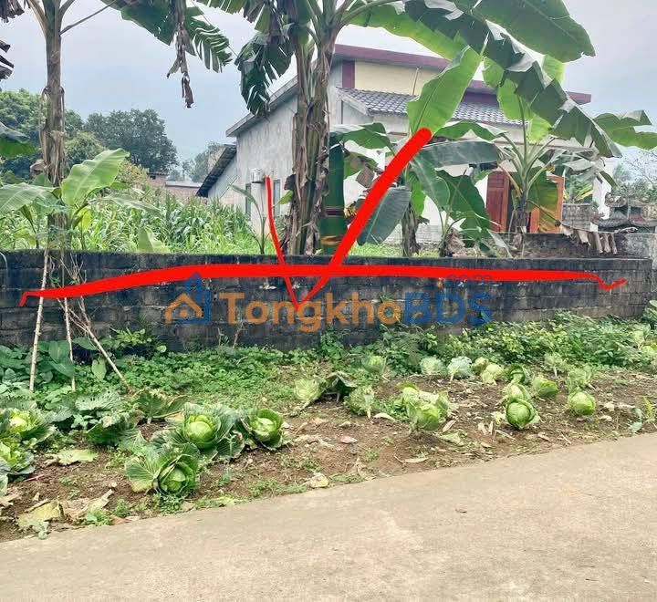 Đất nền Cự Đồng Thanh Sơn 260m² thỏa thuận - Sổ đỏ chính chủ