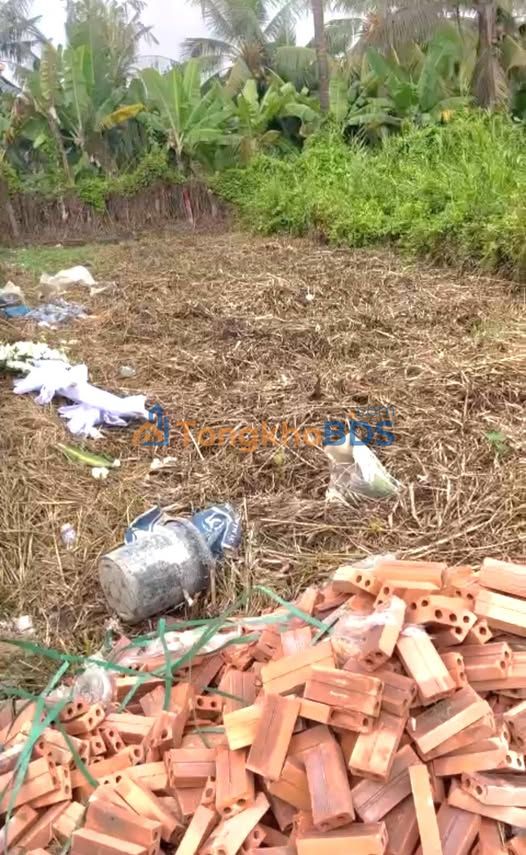 Đất vườn Mong Thọ B 105m² 2xx triệu - Đường ô tô phong thủy