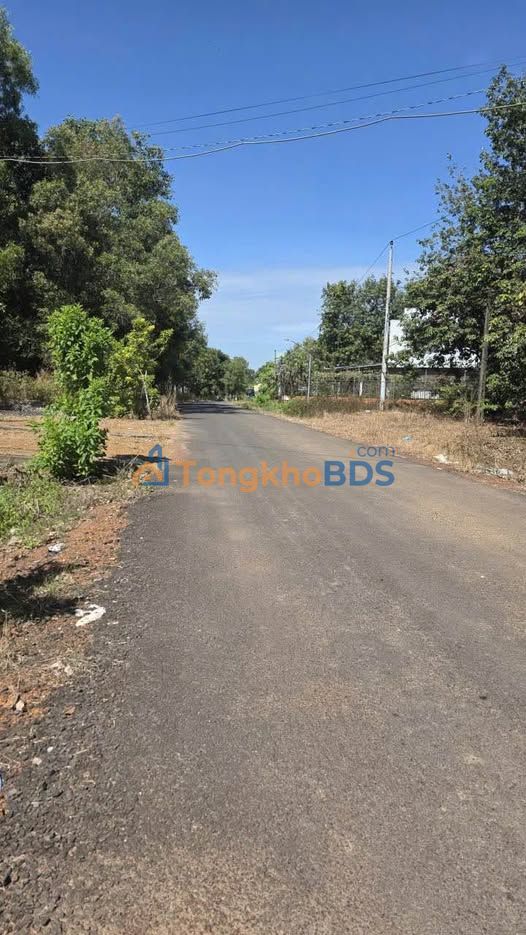 Đất nền Tân Xuân Đồng Xoài 115m² giá 950 triệu - Đường to ô tô