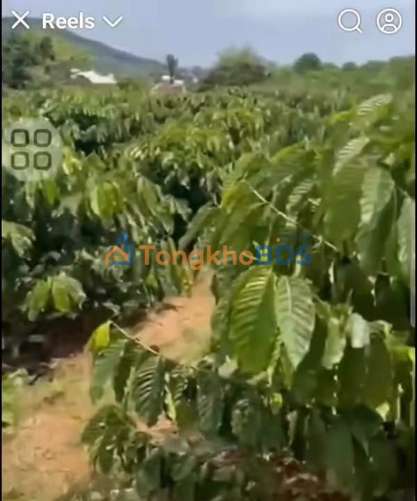 Đất nền Tân Văn Lâm Hà 1.1 tỷ - Hạ tầng hoàn thiện