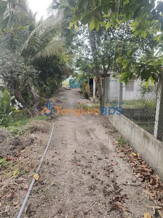 Nhà riêng Ấp 6 Lương Hòa 420m² 3 tỷ - Chính chủ