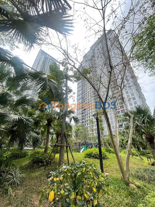 Căn hộ Mỹ Đình Pearl 136m² 28 triệu - View đẹp tầng cao