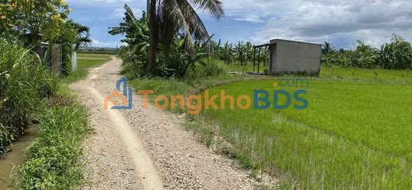 Đất nền Thôn 5 Hàm Đức 2.5ha 847.5 triệu - Sổ đỏ chính chủ, xây tự do