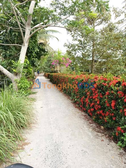 Đất vườn Nhơn Nghĩa Phong Điền 2560m² 3.2 tỷ - Nghỉ dưỡng lý tưởng