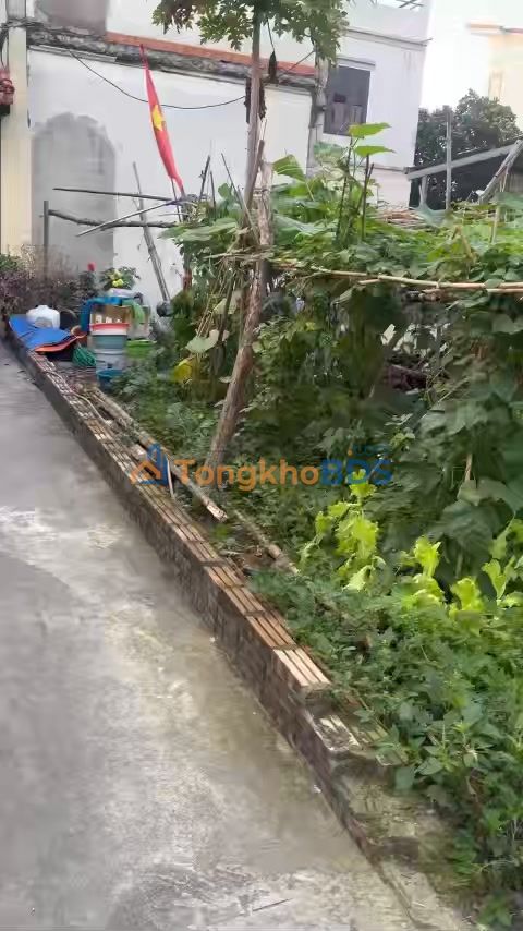 Đất Đông Dư Long Biên 47m2 giá 7 tỷ - Đường to ô tô