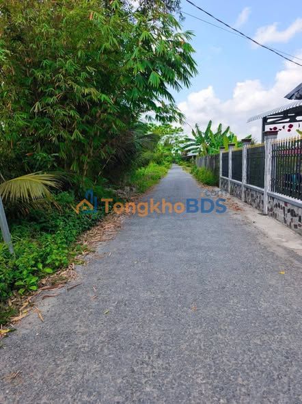 Đất vườn Trường Long A Cần Thơ 1470m² 2,5 tỷ - Tiềm năng tăng giá