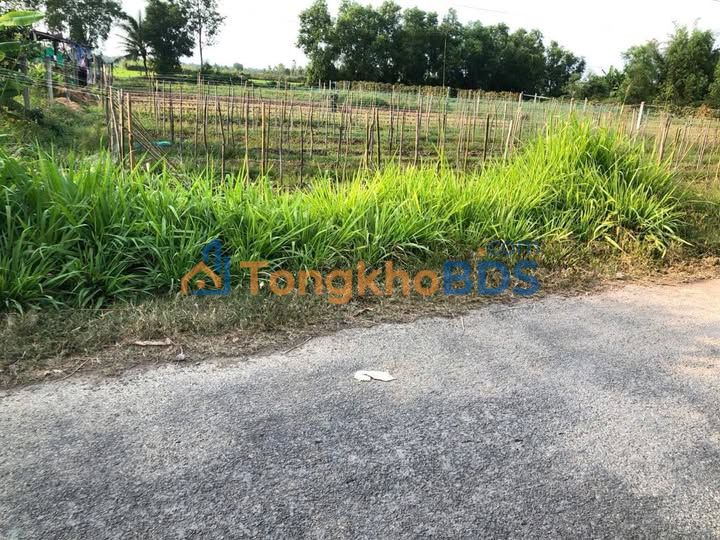 Bán Đất Mặt Tiền Kênh Tầm Phương, Trà Vinh - 1.53 Tỷ