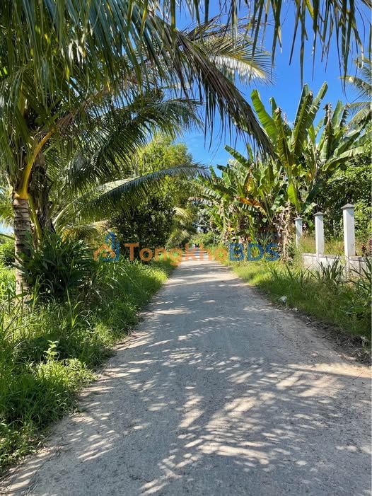 Đất Mặt Tiền Mậu Thân Nối Dài, Châu Thành, Trà Vinh - 1640m² Giá Tốt