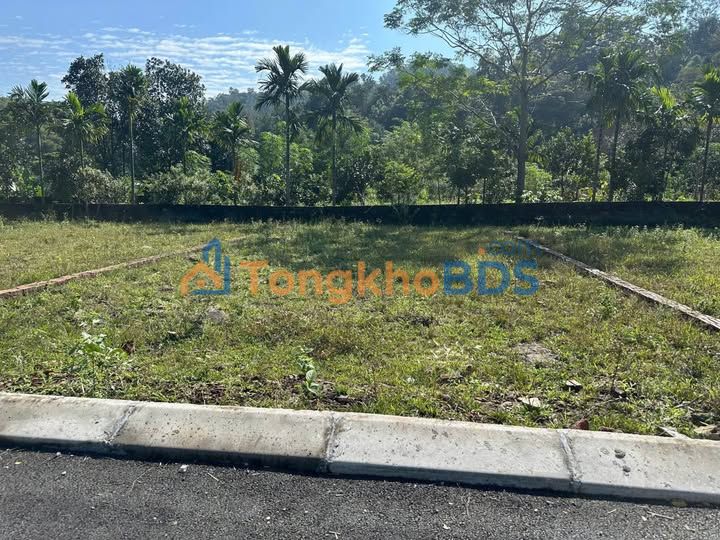 Đất nền Yên Bài Ba Vì 150m² 2 tỷ - Sổ đỏ chính chủ