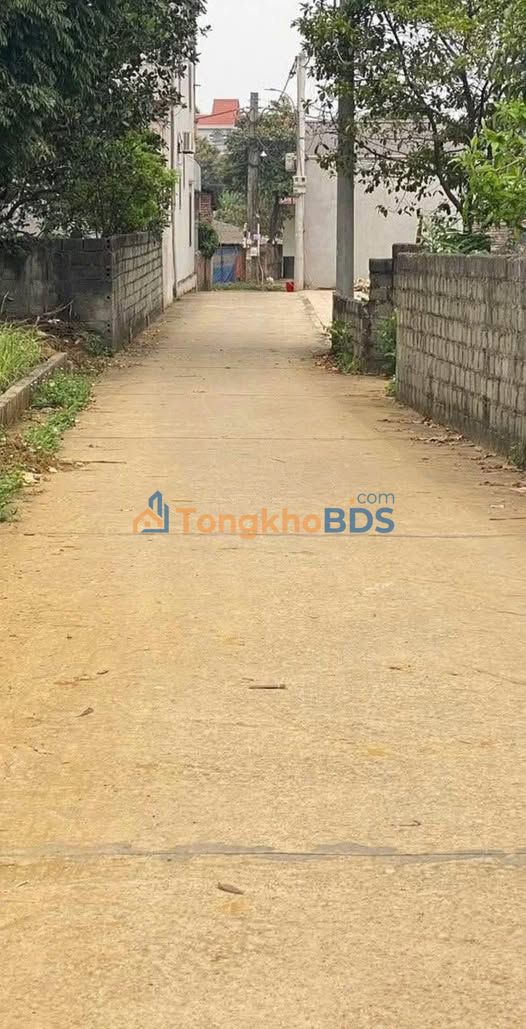 Đất Phú Cát Quốc Oai 222m² giá 3 tỷ - Sổ đỏ chính chủ