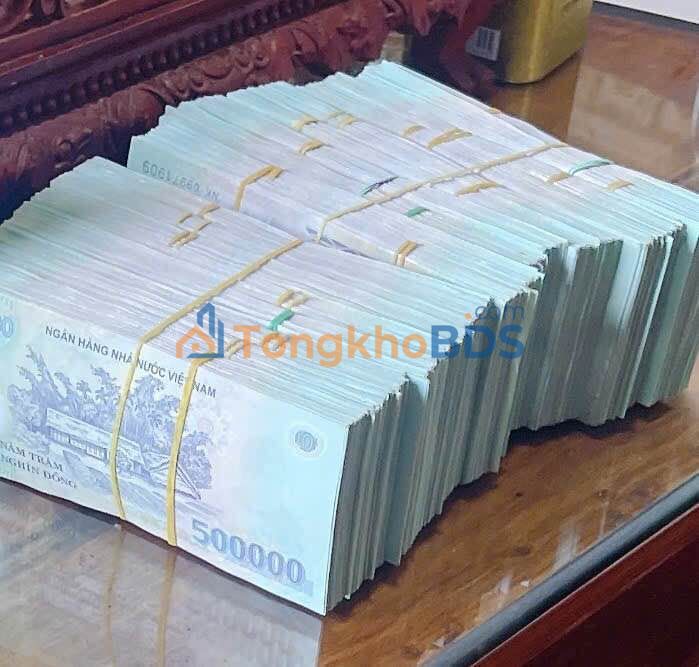 Đất nền Đông Sơn Thanh Hóa 343m² 3 tỷ - Đường to ô tô