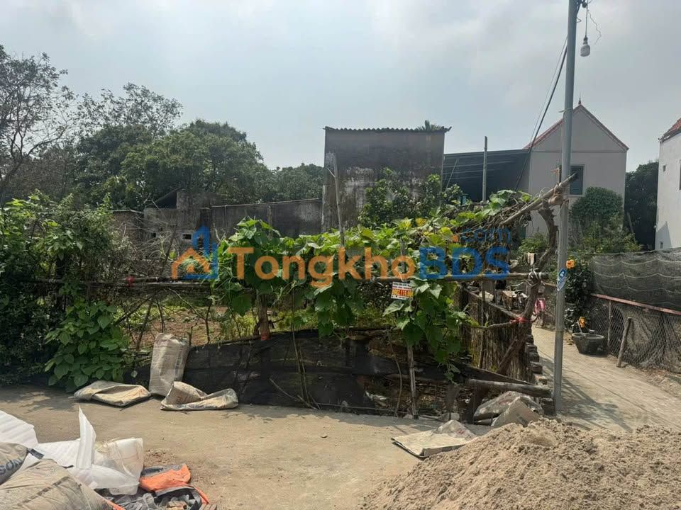 Đất nền Xã Đỗ Động 248m² 7.44 tỷ - Đất thổ cư 100%