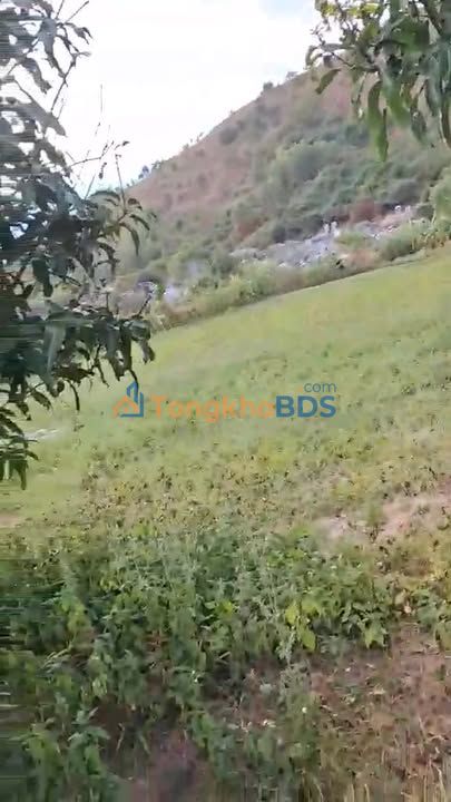 Đất vườn Vạn Hưng 8.000m² giá 3 tỷ - Nghỉ dưỡng lý tưởng