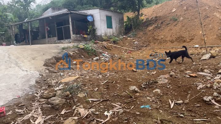 Đất nền Lạc Lương 3.098m² 1,xx tỷ - Đường to ô tô