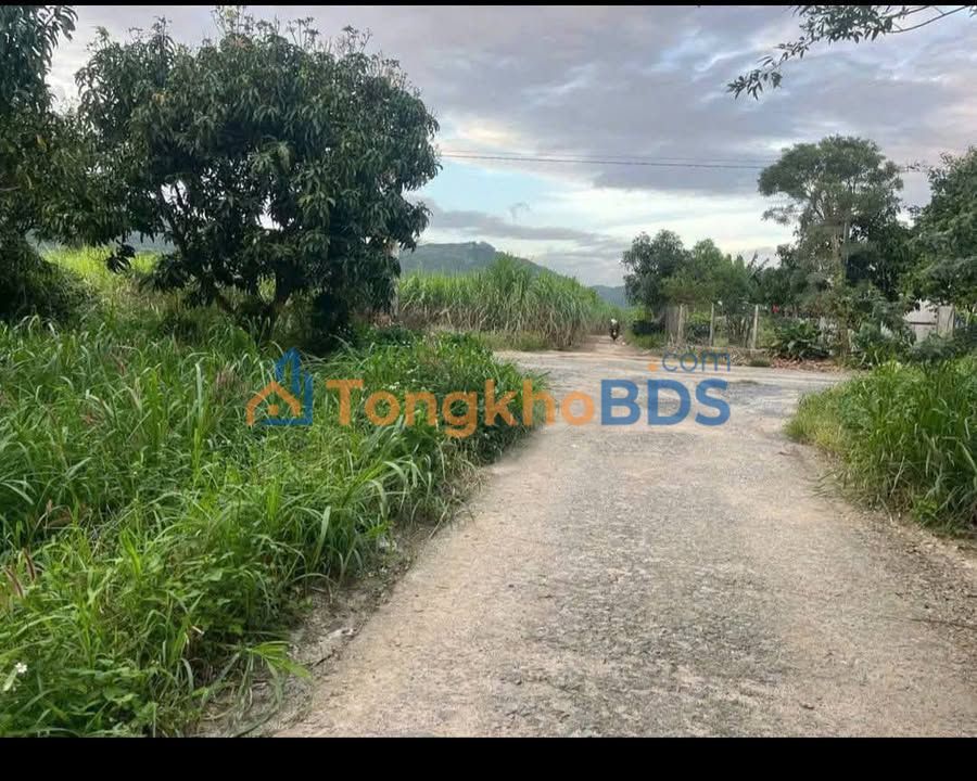 Đất nền Cam Thành Nam 1200m2 500tr/sào - Sổ đỏ chính chủ