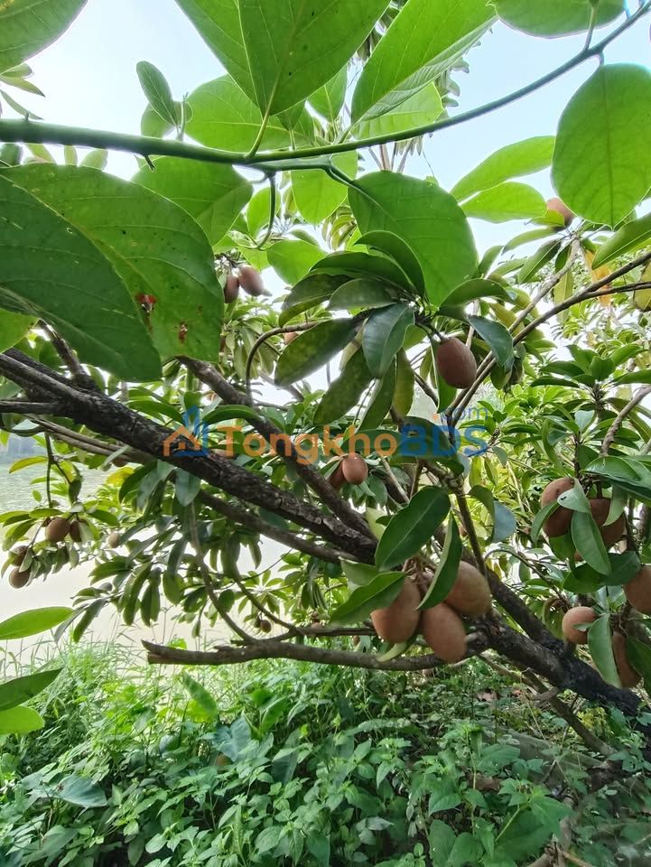 Farm Eanuol Buon Ma Thuot 720m² 580 triệu - Sinh thái xanh