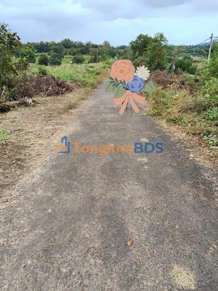 Đất nền Hòa Phú Buôn Ma Thuột 650m² 600 triệu - Sổ đỏ chính chủ