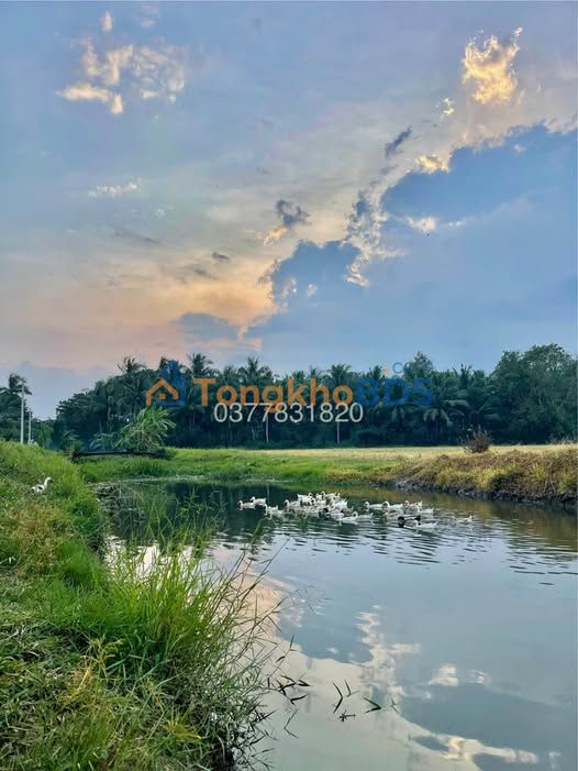 Đất nông nghiệp Lương Hòa A 564m² 490tr - Đường ô tô